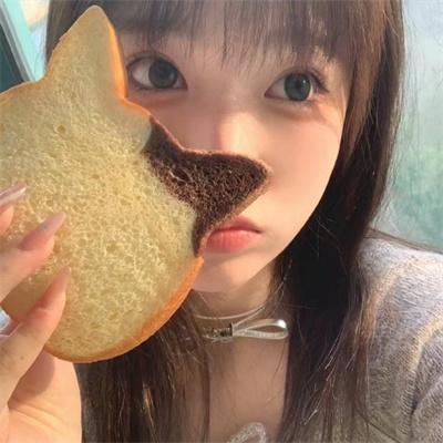 海屿追光·春日限定