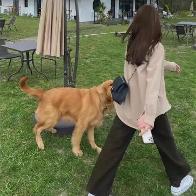现在拨打的电话